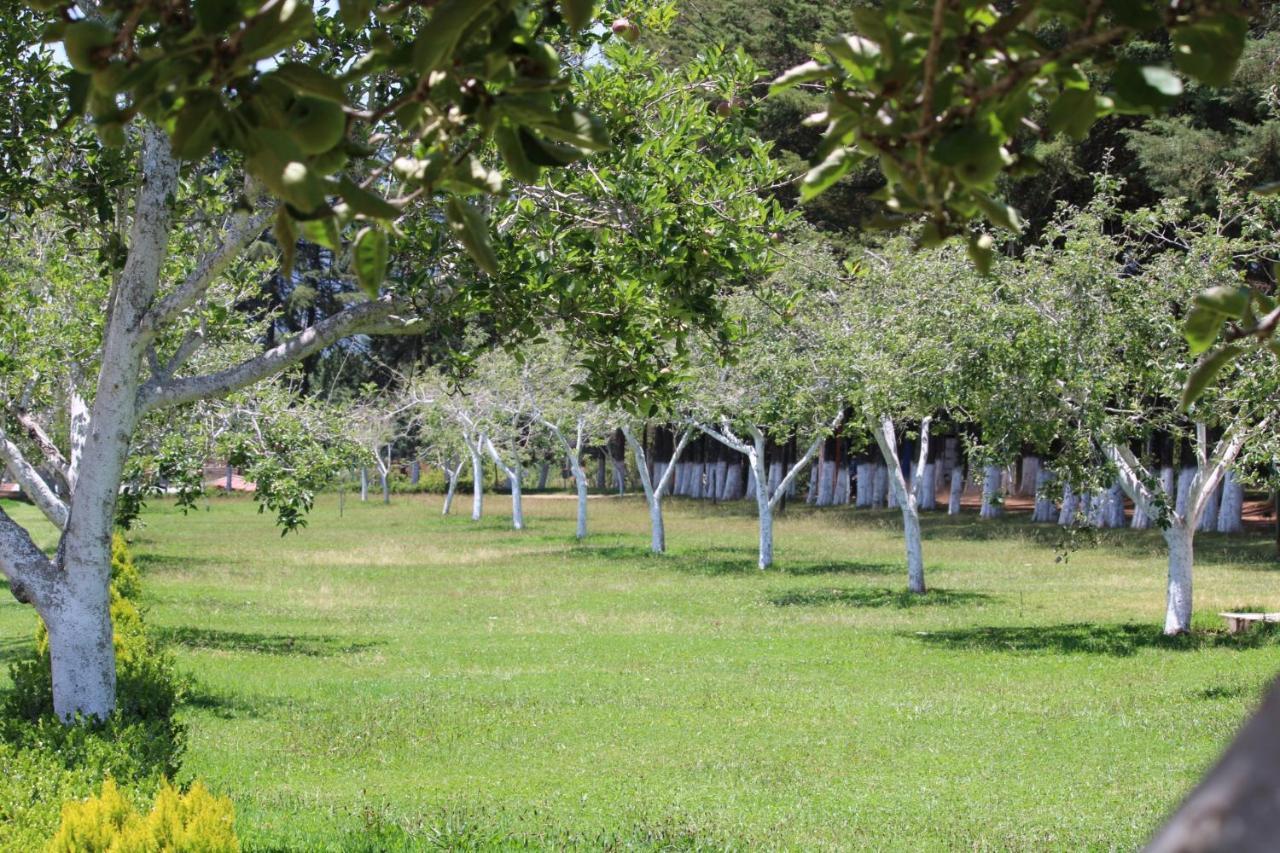 Cabanas Rancho El Mayab Zacatlán エクステリア 写真