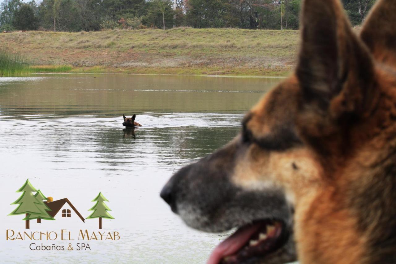 Cabanas Rancho El Mayab Zacatlán エクステリア 写真