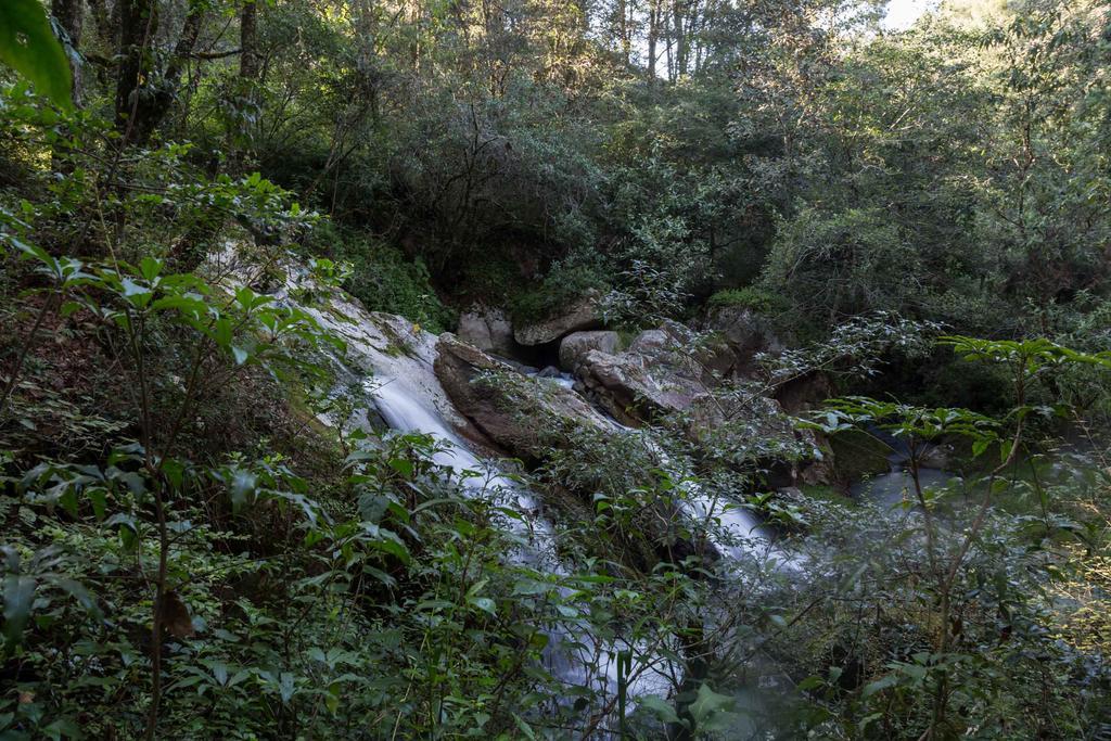 Cabanas Rancho El Mayab Zacatlán エクステリア 写真