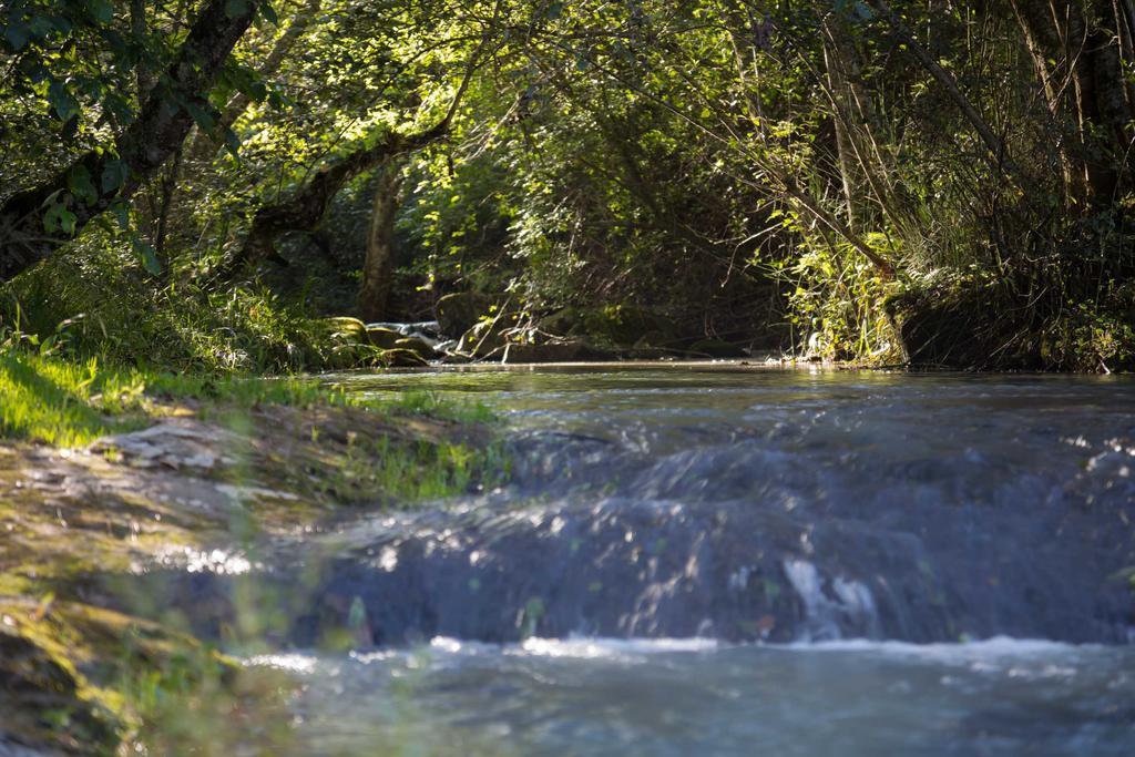 Cabanas Rancho El Mayab Zacatlán エクステリア 写真
